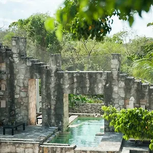Coqui Coqui Papholchac & **** Cobá
